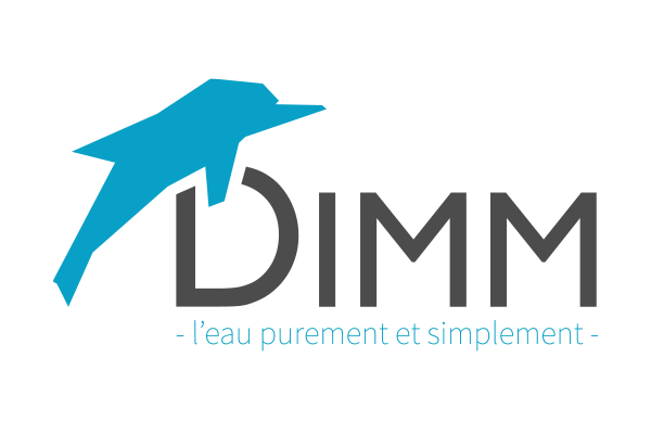 logo DIMM