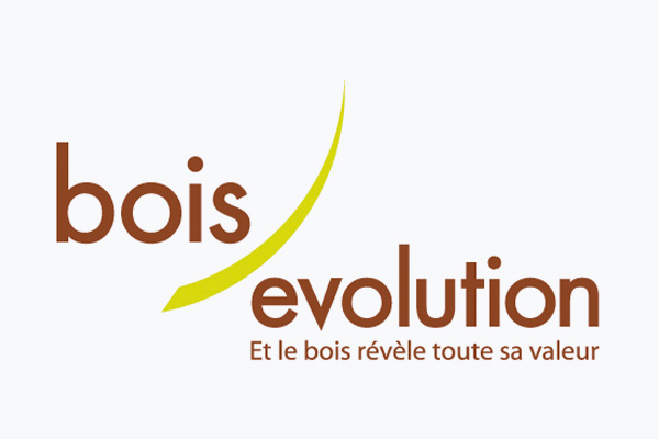 Logo bois evolution